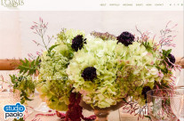 L’Oasis Floral Design